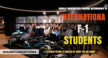 Internships for International Students: A University's Responsibility?