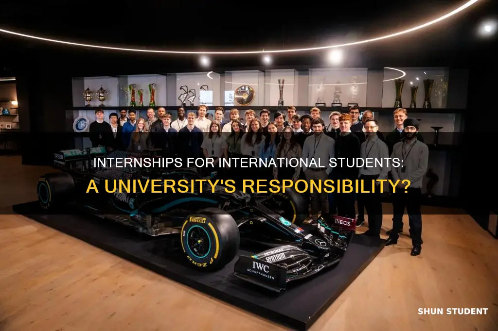 should universities provide internships to international f-1 students