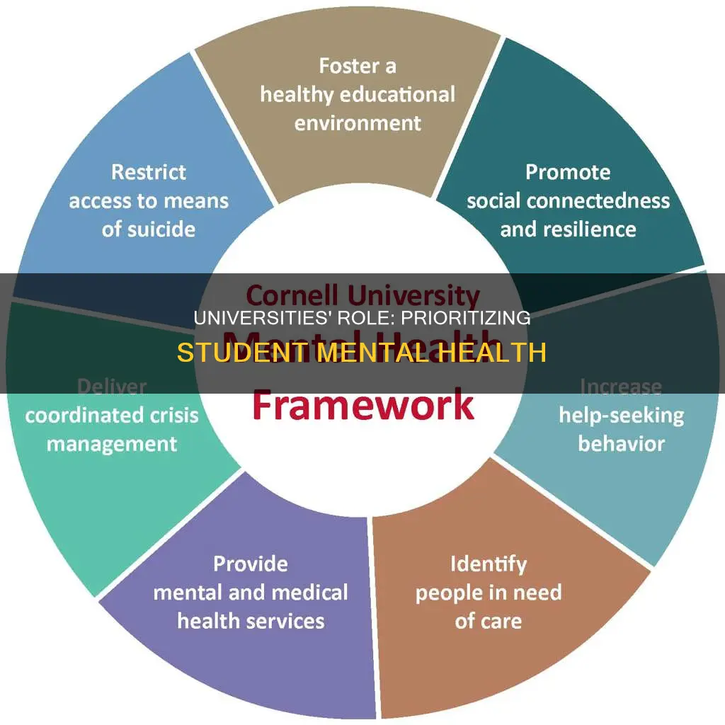 should universities provide mental health resources to students