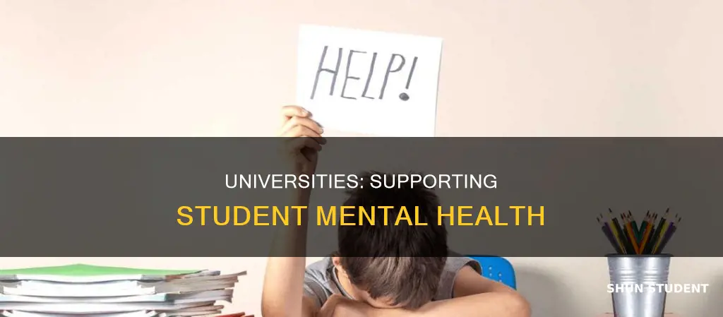 should universities provide mental health resources to students