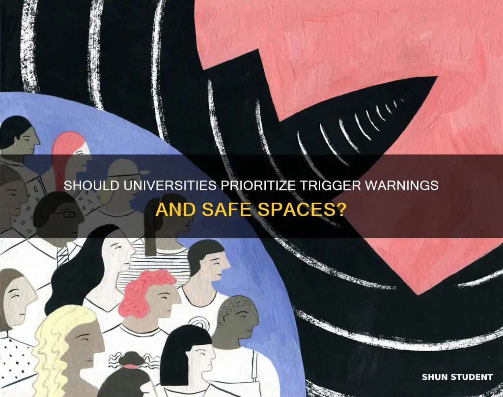 should universities provide trigger warnings and safe spaces for students