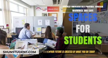 Universities: Safe Spaces and Trigger Warnings, Necessary?