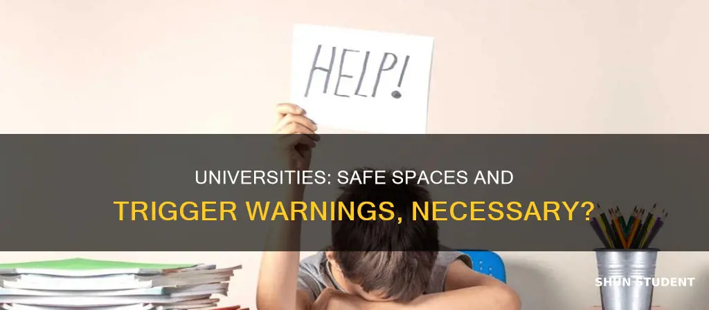 should universities provide trigger warnings and safe spaces for students