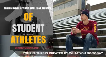University Accountability for Student Athletes' Behavior