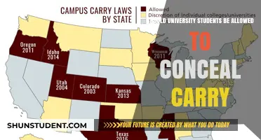 University Students: Should They Carry Concealed Guns?