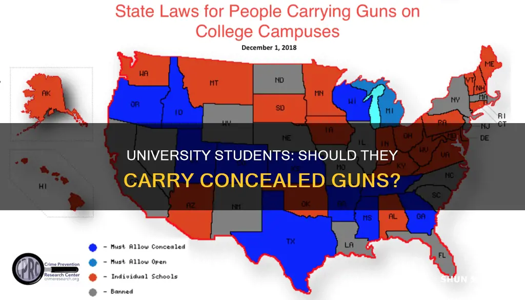 should university students be allowed to conceal carry