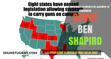 Universities: Should Students Be Allowed to Carry Guns?