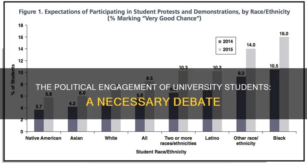 should university students involved in politics