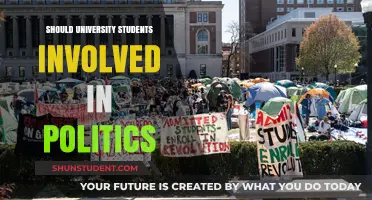 University Students: Political Involvement, a Must?