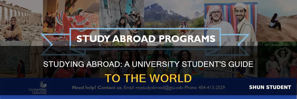 should university students study abroad