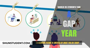 Exploring the Pros and Cons: Gap Year for US Students?