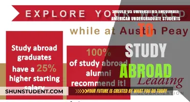 Studying Abroad: A Necessary Part of US Education?