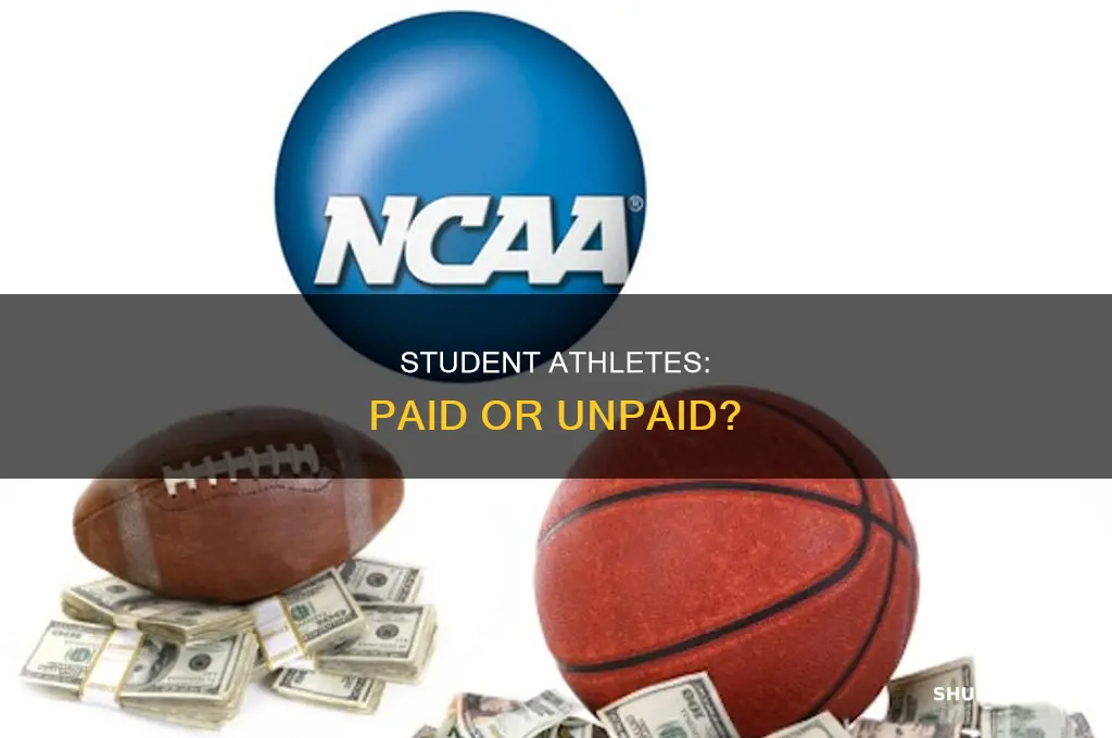 should we pay student athletes poll