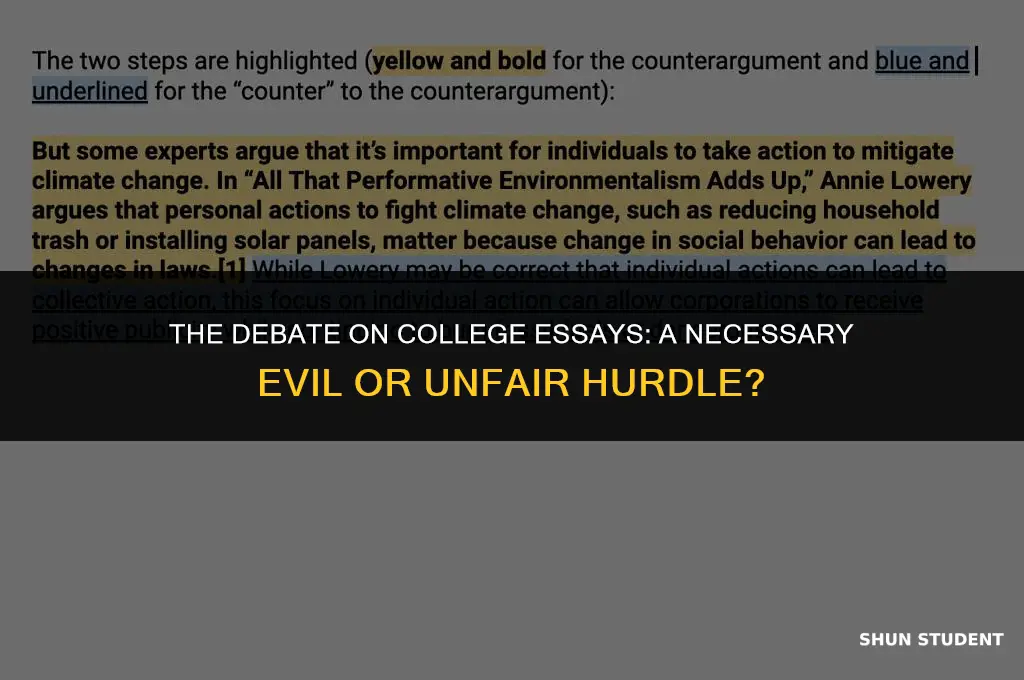 should we use college essays to admit students