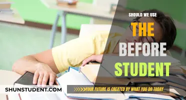 Exploring the Pros and Cons: 'Before Student' in Modern Education