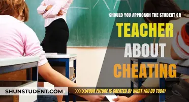Cheating Dilemma: Addressing Academic Dishonesty with Students or Teachers?