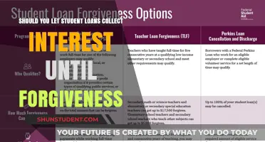 Should You Let Student Loans Accrue Interest Until Forgiveness?