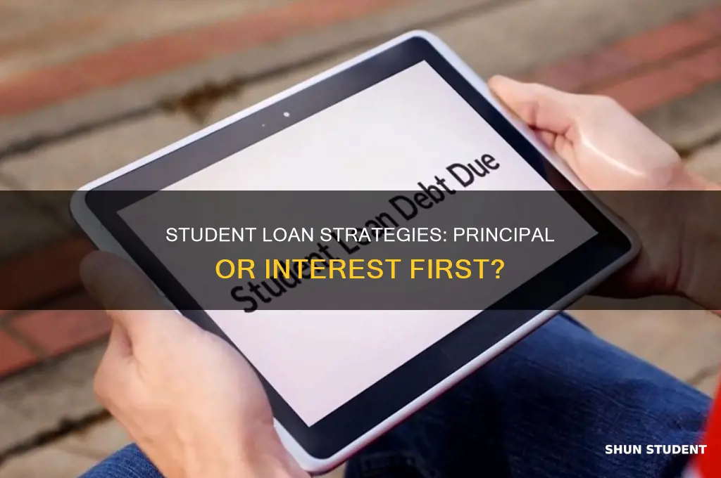 should you pay interest or principal first student loans
