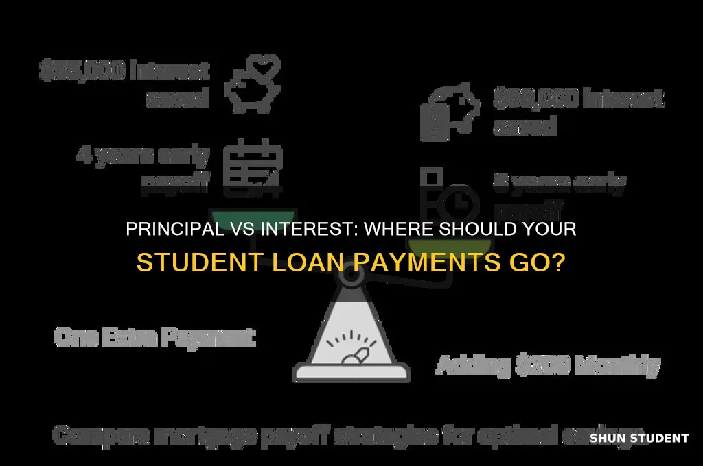 should you pay more towards principal or interest student loans