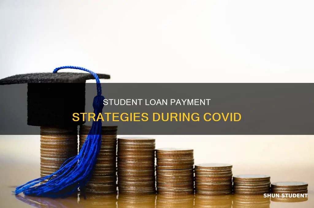 should you pay student loans during covid
