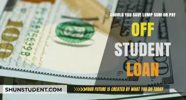 Student Loan Debt: Save or Repay?