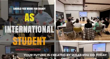 Working for Disney: An International Student's Dream?