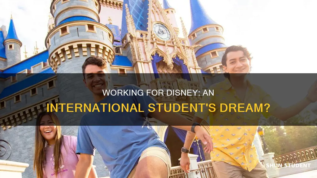 should you work for disney as international student