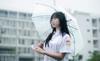 student international
