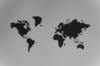student international