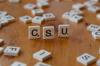 student state