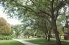 student university