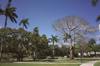 student university