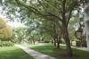 student university