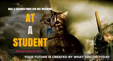Teacher Fired for Refusing to Meow at Student: Fact or Fiction?