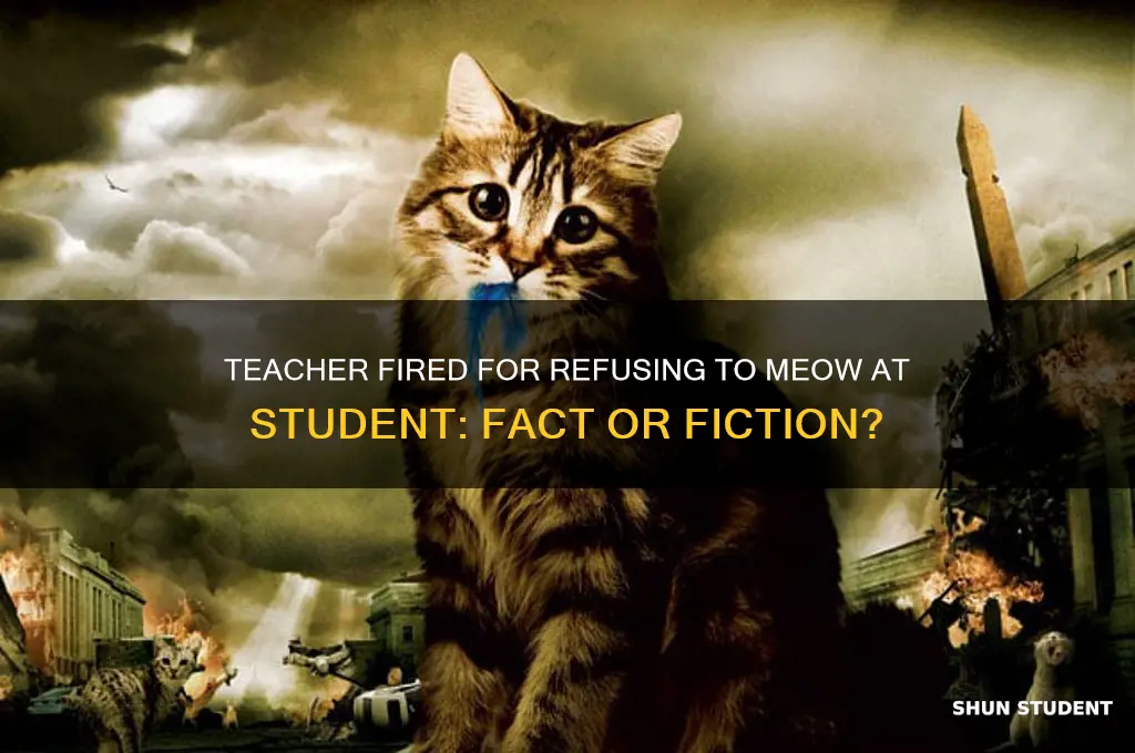 was a teacher fired for not meowing at a student