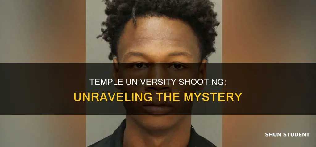 was a temple university student shot