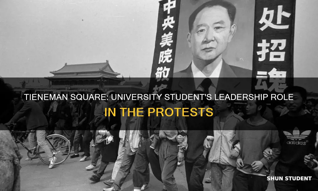 was tieneman square led by university student