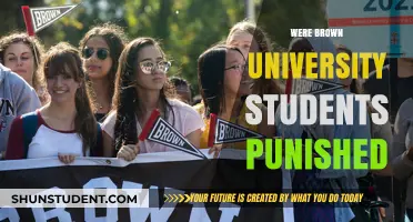 Brown University Students: Punished or Not?