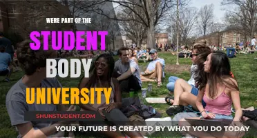 Student Life: Our University Experience