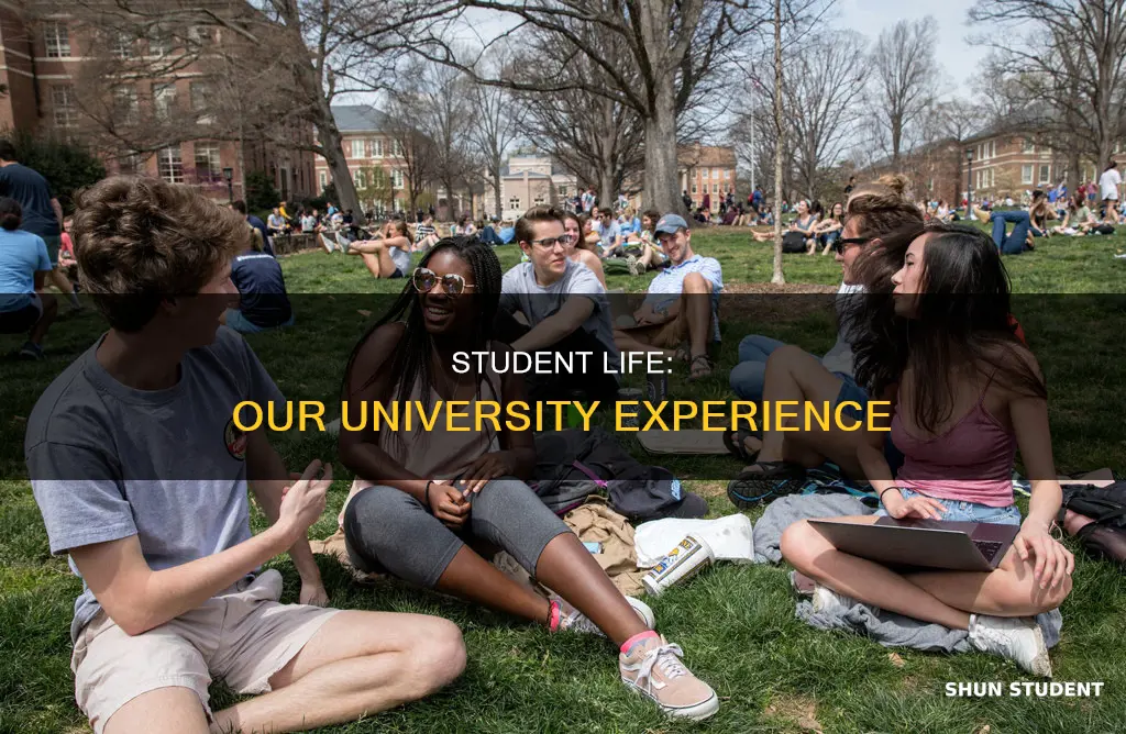 were part of the student body university