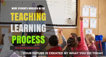 Empowering Education: Student Involvement in the Teaching-Learning Process