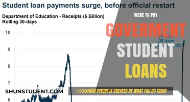Student Loan Payment: Government Options and Where to Pay