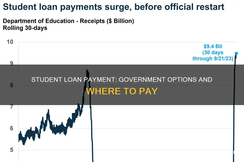 were to pay goverment student loans