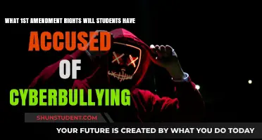 Cyberbullying Accusations: Balancing Student Free Speech and Legal Boundaries