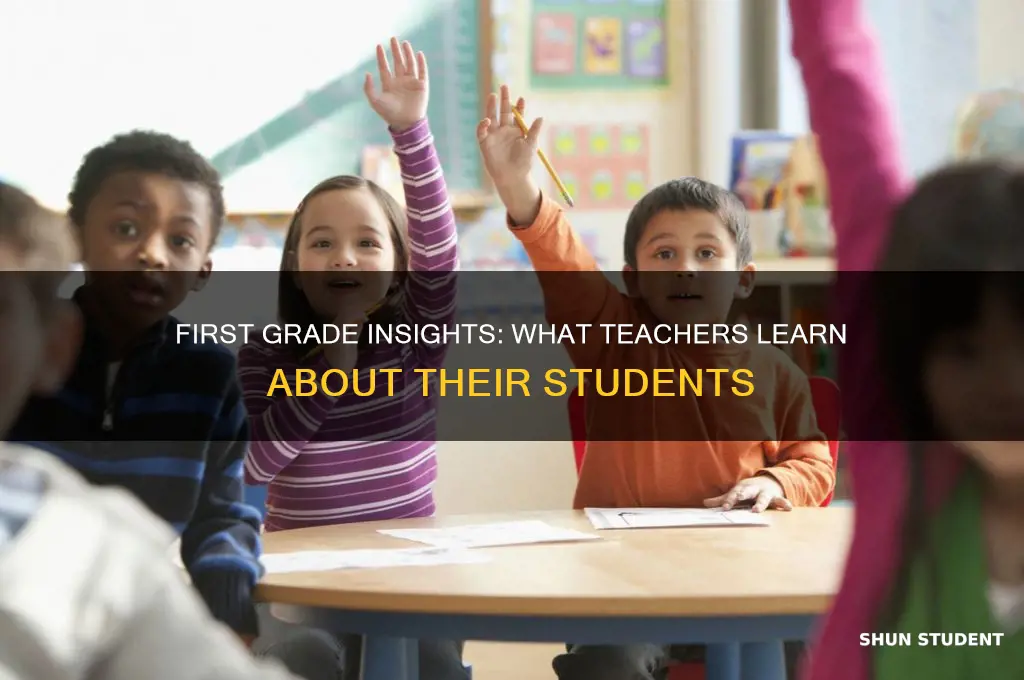 what 1st grade teacher can tell about her students