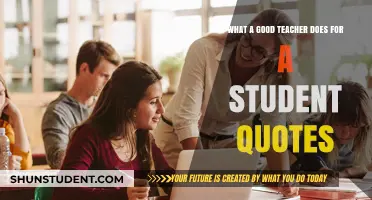 Inspiring Minds: What Great Teachers Do for Students in Their Own Words