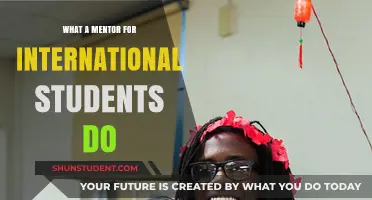 International Student Mentors: Support for Academic Success
