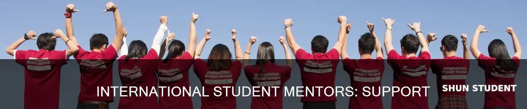 what a mentor for international students do