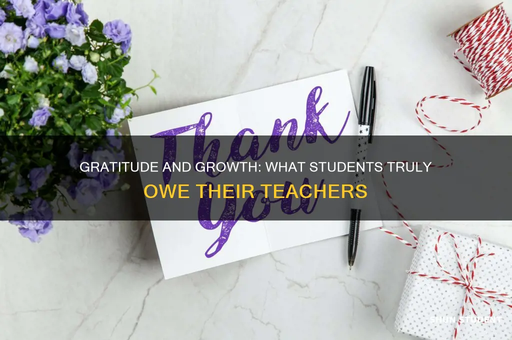 what a student owes a teacher essay
