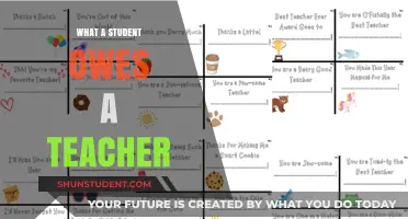 Gratitude and Growth: A Student's Debt to Their Teacher's Impact